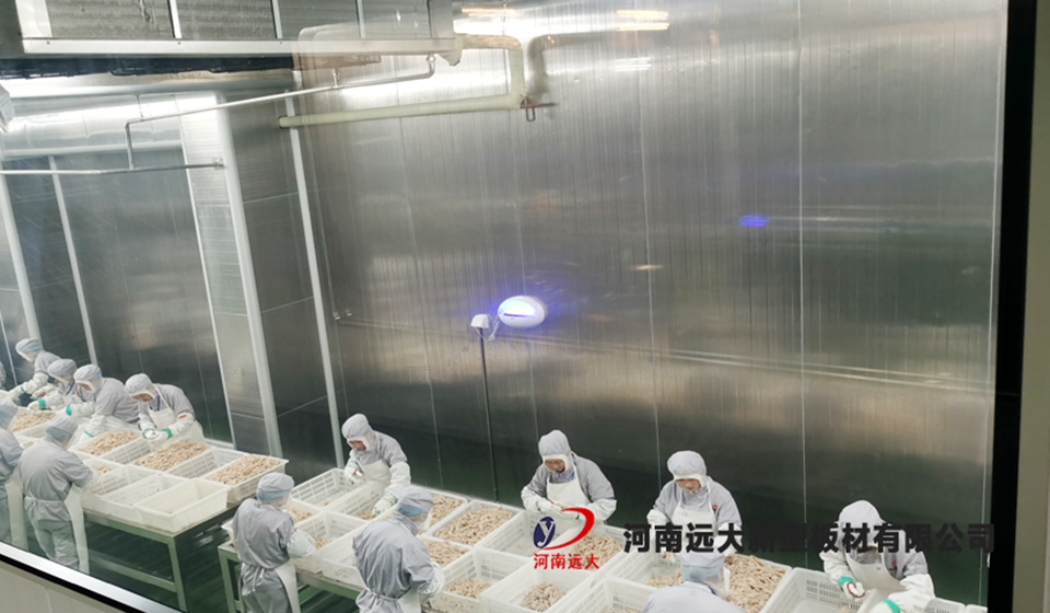 九多肉多項(xiàng)目